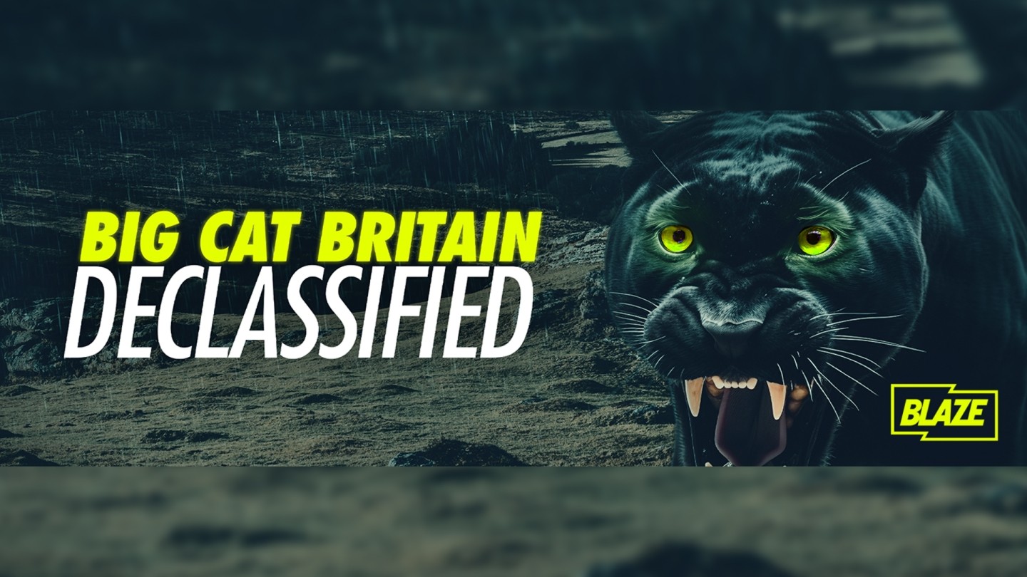 Rick Minter - Big Cat Sightings