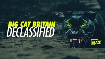 Rick Minter - Big Cat Sightings