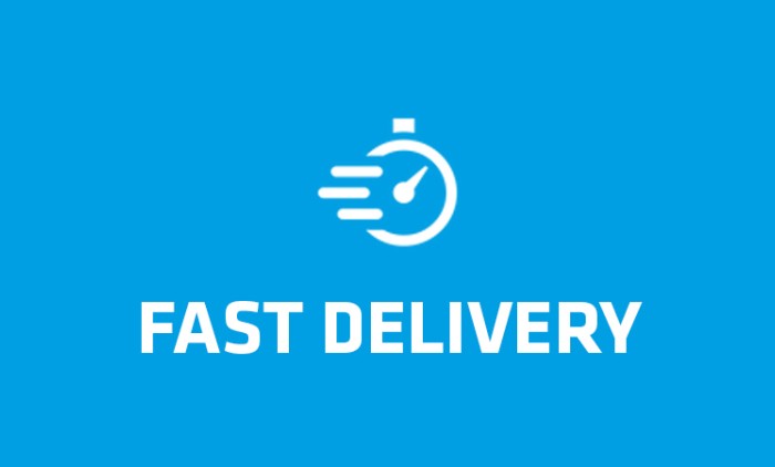 Fast Delivery