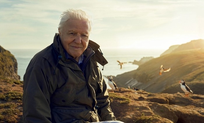 David Attenborough - Wild Isles
