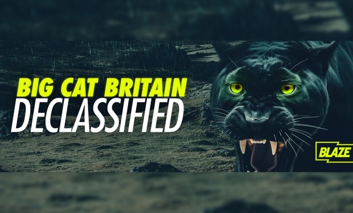 Rick Minter - Big Cat Sightings
