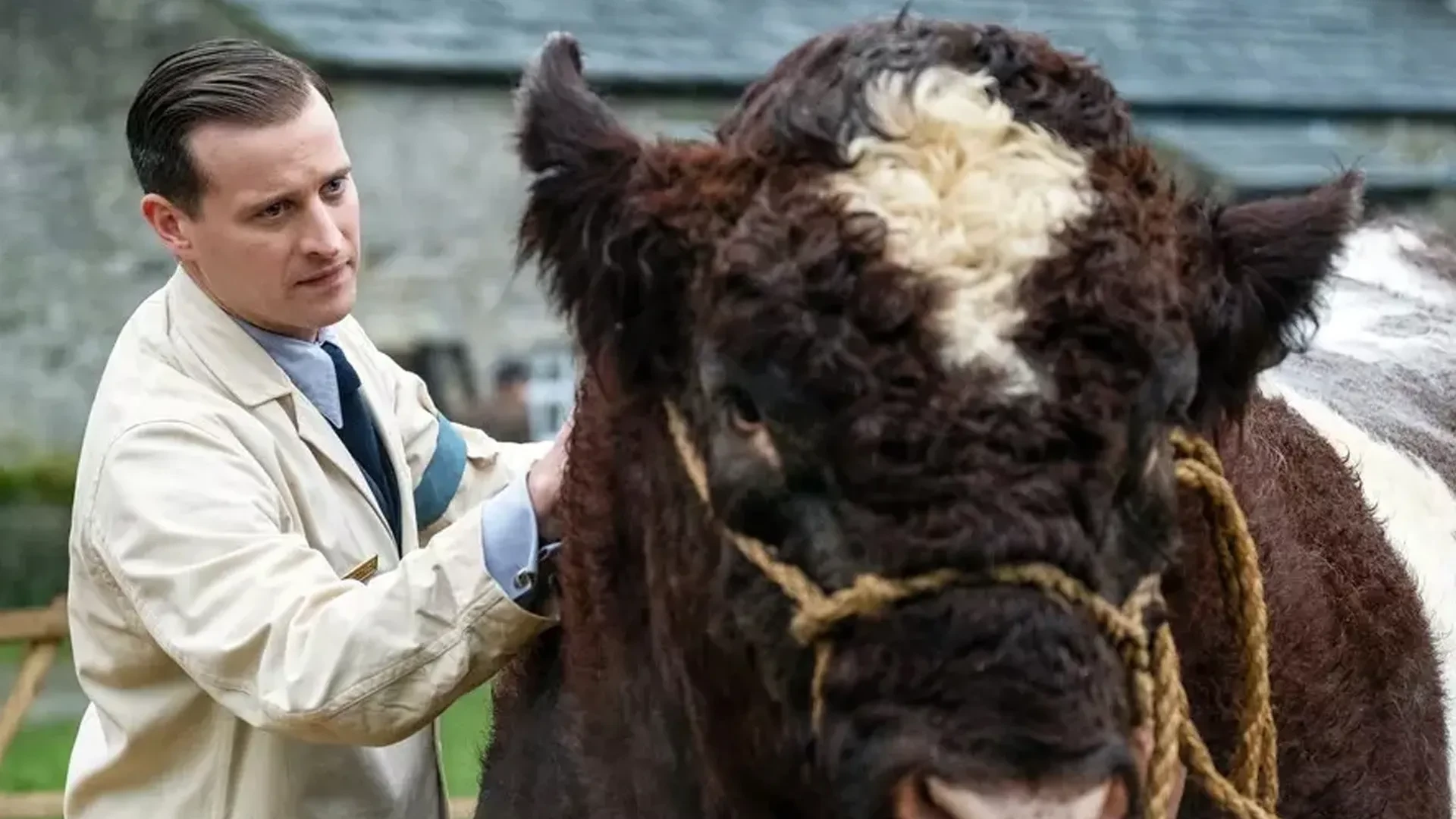 All Creatures Great and Small on Channel 5