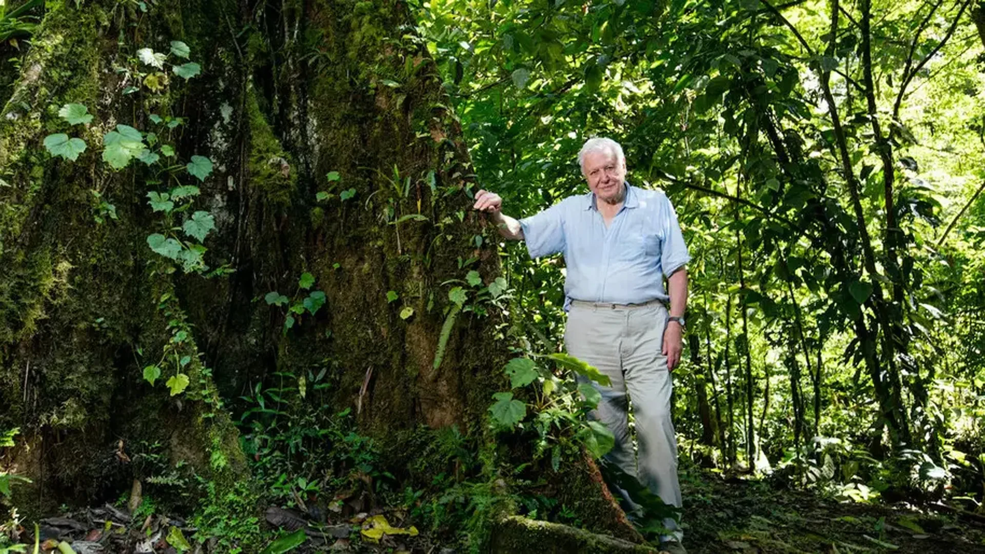David Attenborough
