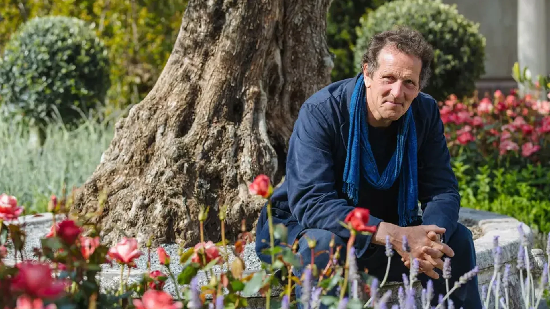 Top gardening shows on TV