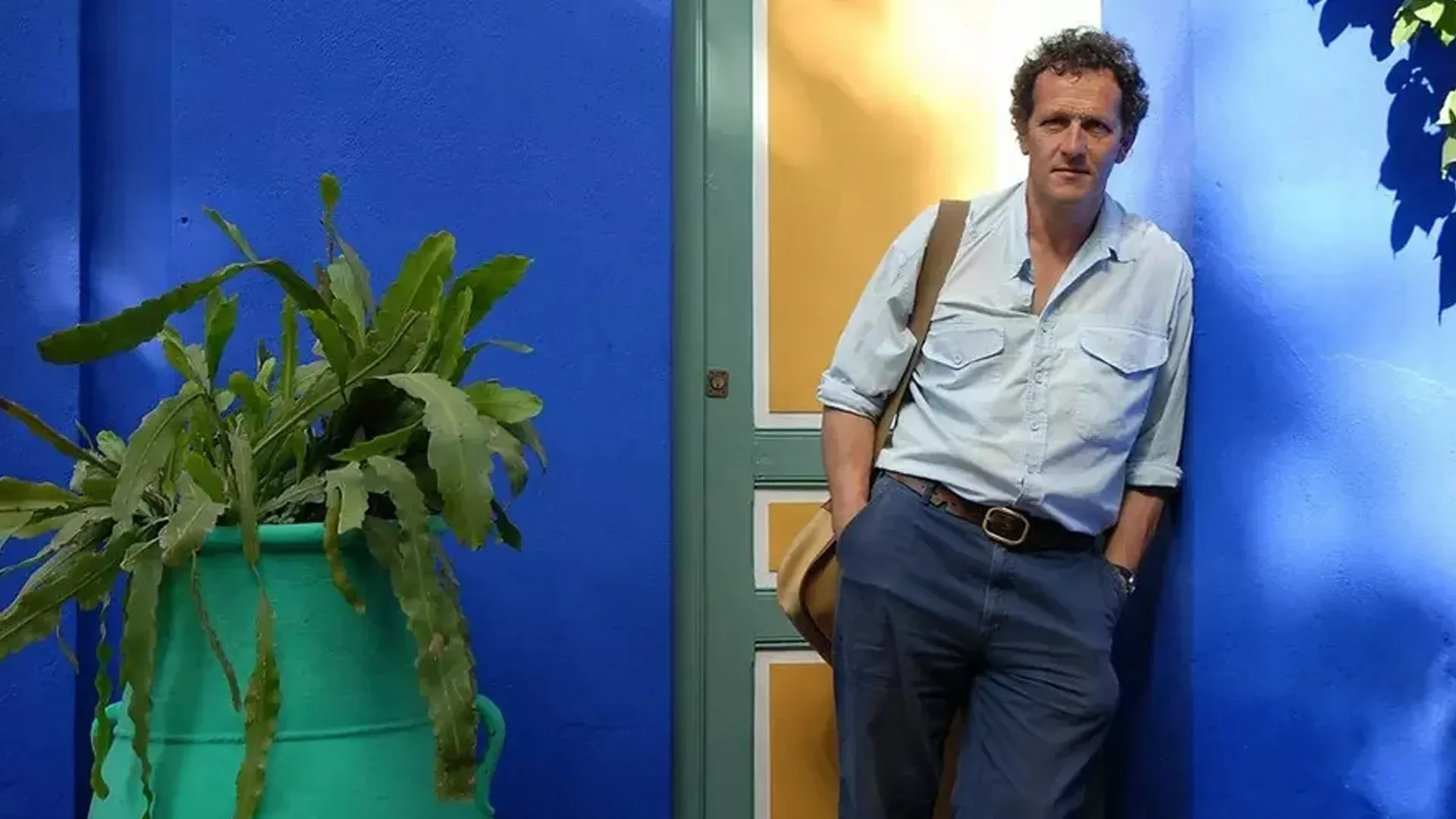 Top gardening shows on TV