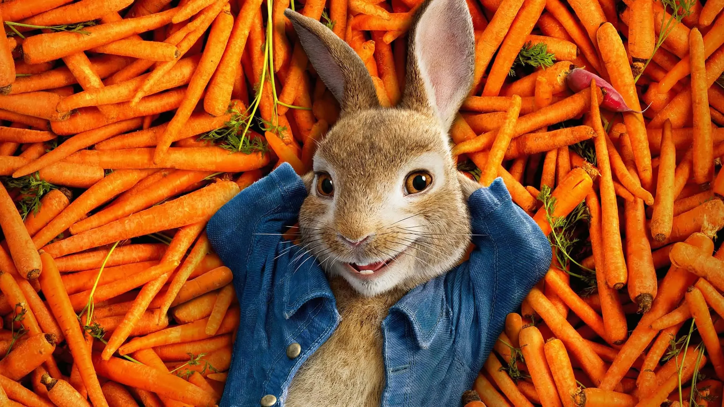 Key art for Peter Rabbit, showing Peter Rabbit lying on a bed of carrots