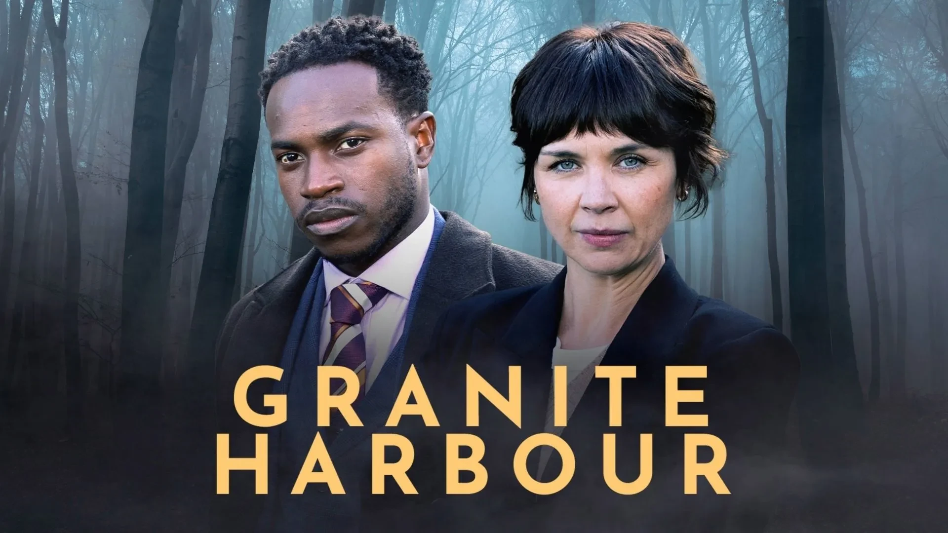 Two detectives standing in a misty forest setting in promotional artwork for a crime drama series, highlighting a mystery investigation against a remote woodland backdrop.
