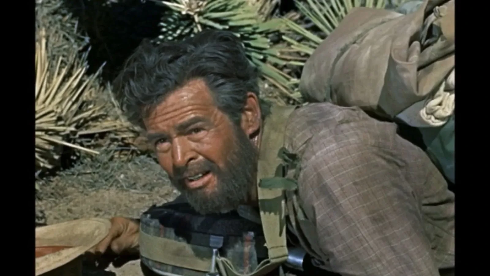 Robert Ryan stars in Inferno (1953) 
